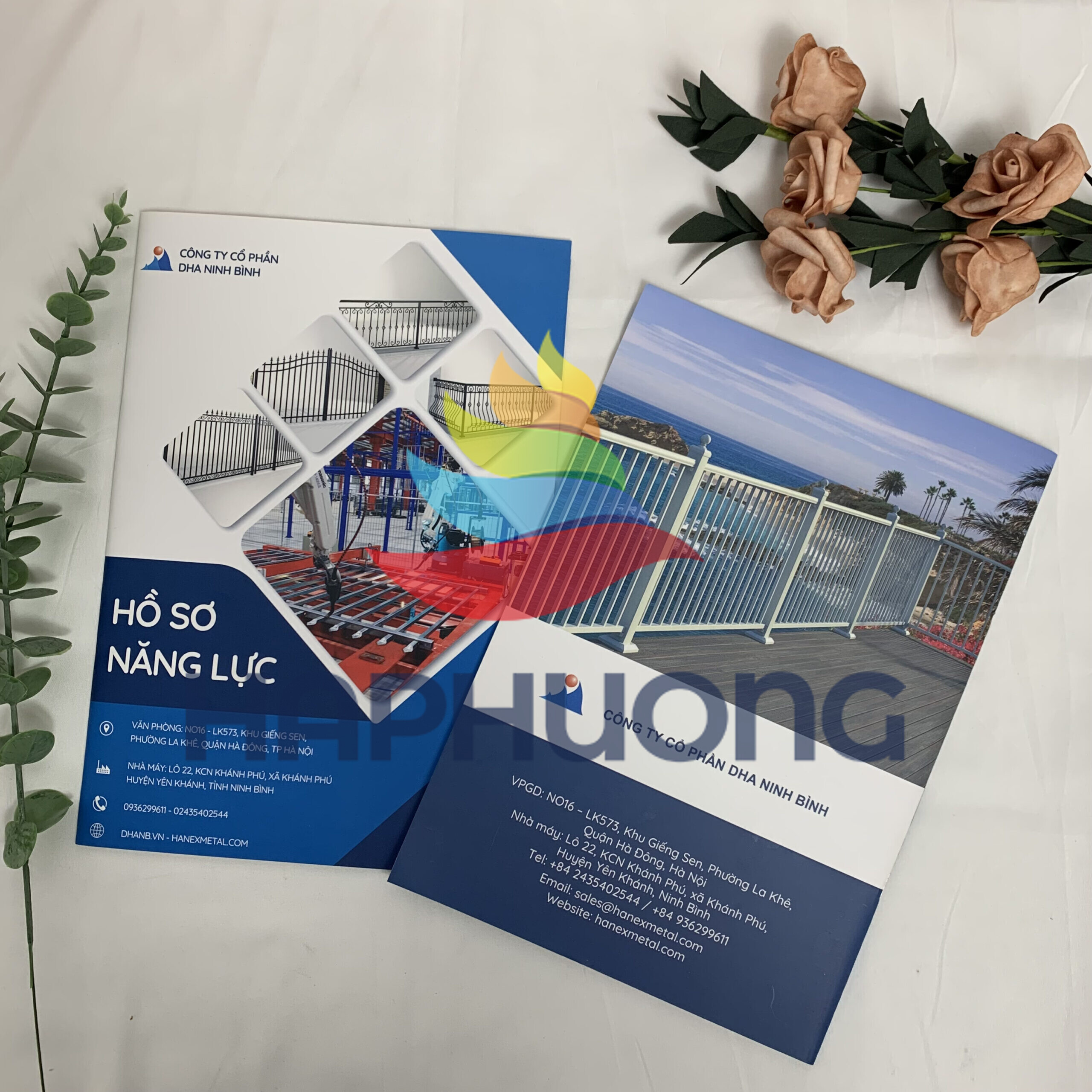 Mẫu catalogue giới thiệu công ty cổ phần DHA Ninh Bình chuyên nghiệp