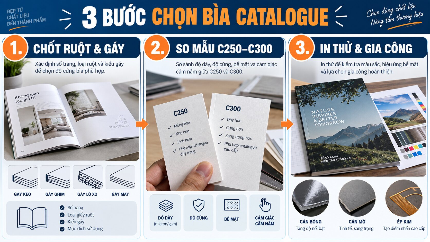 Ba bước chọn bìa catalogue C250 hoặc C300