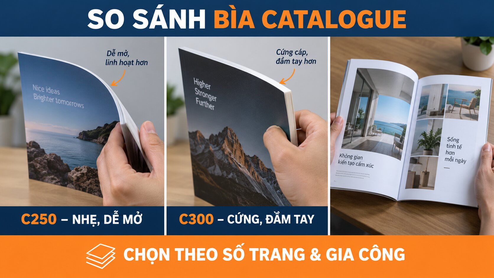 So sánh bìa catalogue C250 và C300 về độ cứng và cảm giác cầm